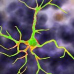 131945986-1df7c098-5964-4631-a919-1b8bc7d49b1a