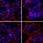 5375ef5f3f3bfb27e505bae16eed8864