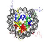 Nucleosome_1KX5_colour_coded