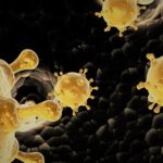 Virus_10_19131zeno_00161