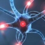 cura-sclerosi-multipla-diamedica-e1577184608690