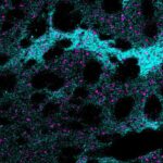 eccb0a83dc94860ff27fcd8865d6ae30