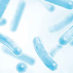 probiotici-e-prebiotici