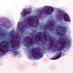 shutterstock_751318255_1