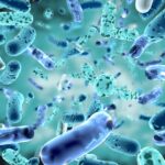 virus-e-batteri-differenza