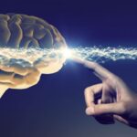 65bda100-4ed5-4a9b-9cfb-301fe4f43de0