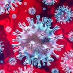 AdobeStock_316815852-corona-virus-coronavirus-cellule-kwGD--1020x533@IlSole24Ore-Web