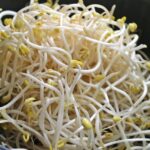 Kongnamul_(soybean_sprout)