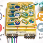 MIT-GutBrain-Axis-01-press_0