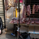 033121_eg_who-covid_feat