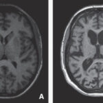 1-s2.0-S163470721889403X-gr6