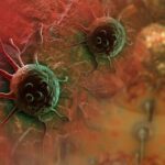 2000-2020-i-principali-risultati-e-successi-contro-il-cancro-Il-periodo-2005-2020 (1)