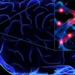 EFKTJUZ77016-k5KG-U10901708651806iBB-1024x576@LaStampa.it_-960x440