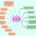 Triggering-factors-for-IBD-and-some-of-the-major-symptoms-related-to-the-patients-IBD