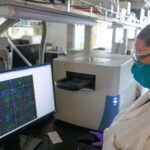 drug-derived-from-kent