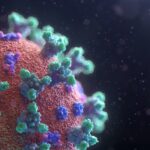 fusionmedicalanimationEAgGqOiDDMgunsplashG (1)