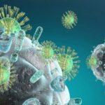 immune-system-cells-min