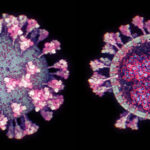 1e21a26cd78d08899cf52f77dea0fc08