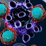 5730660_1811_cellule