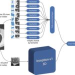 AI-Predicts-Lung-Cancer-Risk-777x498