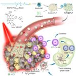 Platelet-Based-Formulation-and-Anticancer-Application-in-Photothermal-Immunological-Combined-Therapy-777x753 (1)