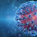 adobestock_336101608