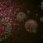 coronaviruses-5263752_1280