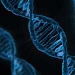 dna-163466_1280