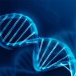 dna-elica-toscana-ambiente-e1579255212648