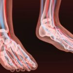 nervi-dei-piedi