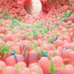 xmicrobiota-intestinale-salute_thumb_720_480.jpg.pagespeed.ic.YxtFTJW12Z