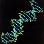 310x0_1400230247371_rainews_20140416113906227