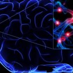 EFKTJUZ77016-k5KG-U10901708651806iBB-1024x576@LaStampa.it_-960x440 (1)