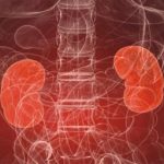 Nefrologia-kRoH--258x258@Quotidiano_Sanita-Web