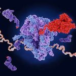a-small-molecule-induc