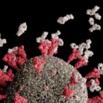 anticorpi-e-spike_1020x680