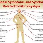 fibromyalgia-likely-th