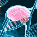 iStock-1179937963_gene_als