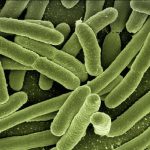 infection