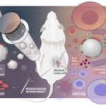 personalized-tumor-vac