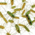 recurrent-infections-o