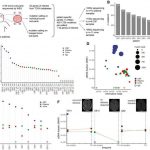 scientists-can-detect-2