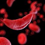 AdobeStock_269999957