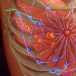 Tumore-al-Seno1-1024x680