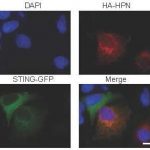 a-turncoat-protein-all