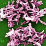 centenarians-have-a-di