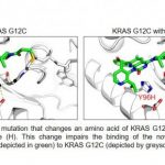hunting-down-the-mutat