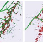 research-reveals-how-s