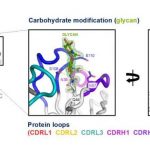scientists-discover-a-4