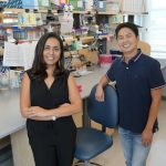 study-reveals-missing